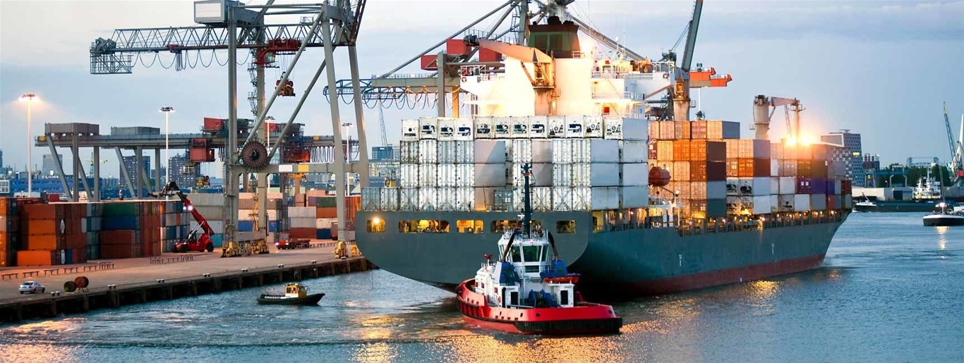 Sẽ có làn sóng đầu tư tỉ đô nước ngoài đổ vào lĩnh vực logistics